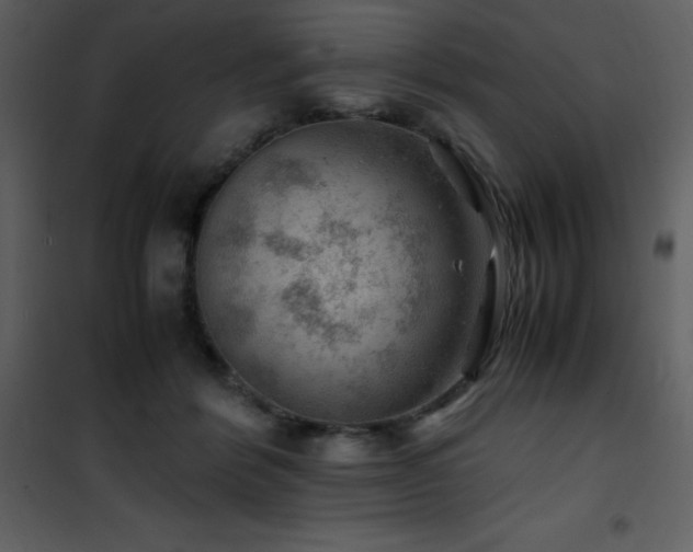 X0000102010412200807181233