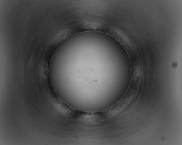 X0000102010414200807181233
