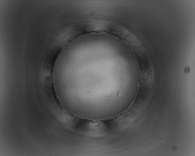 X0000102010415200807181233
