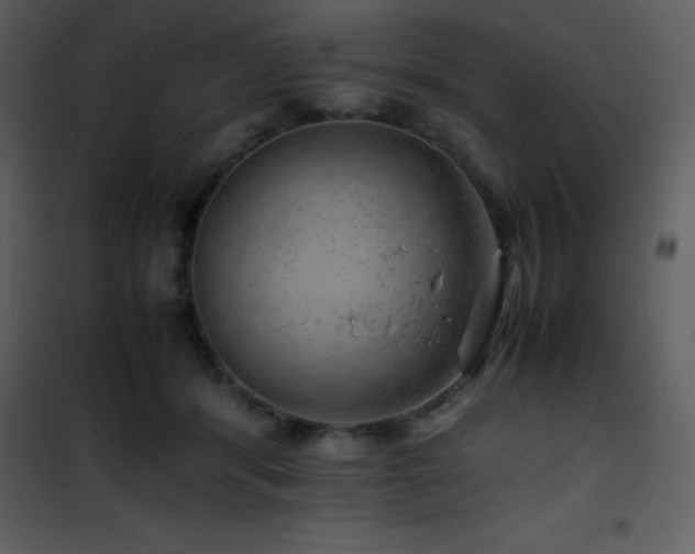 X0000102010416200807181233
