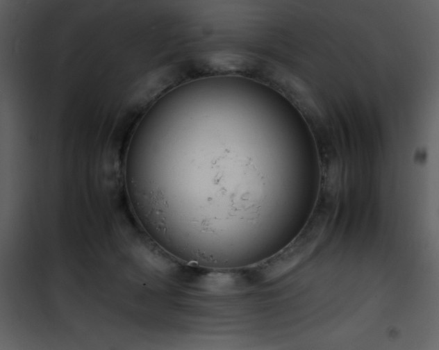X0000102010418200807181233