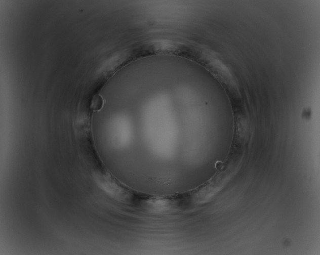 X0000102010419200807181233