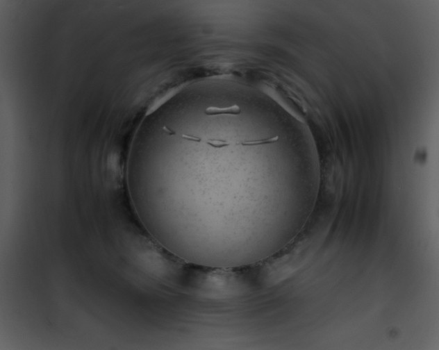 X0000102010420200807181233