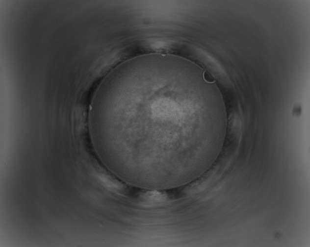 X0000102010421200807181233