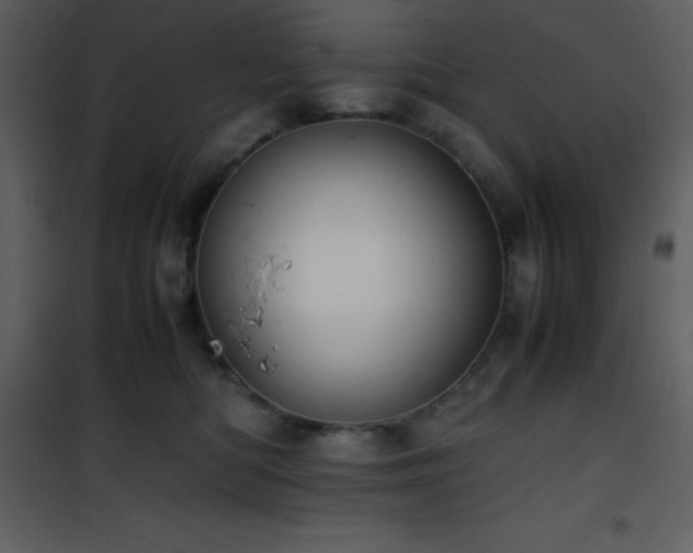 X0000102010422200807181233