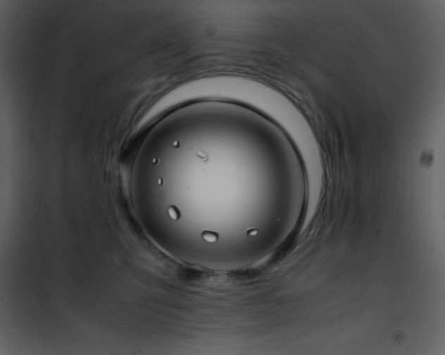 X0000102010423200807181233
