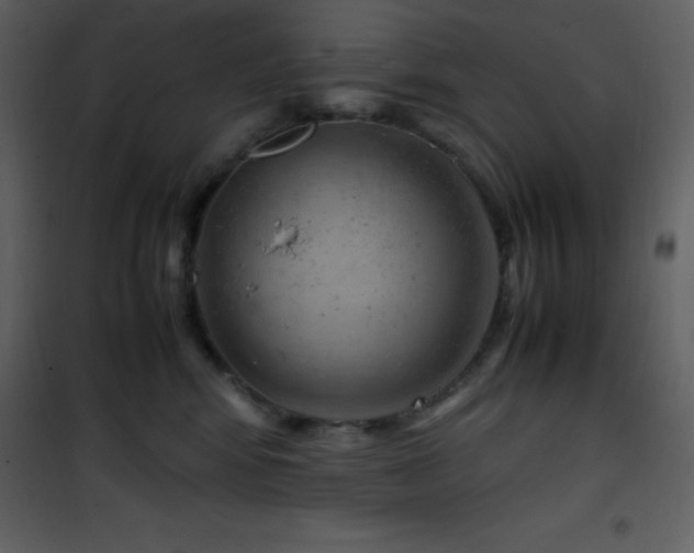 X0000102010424200807181232