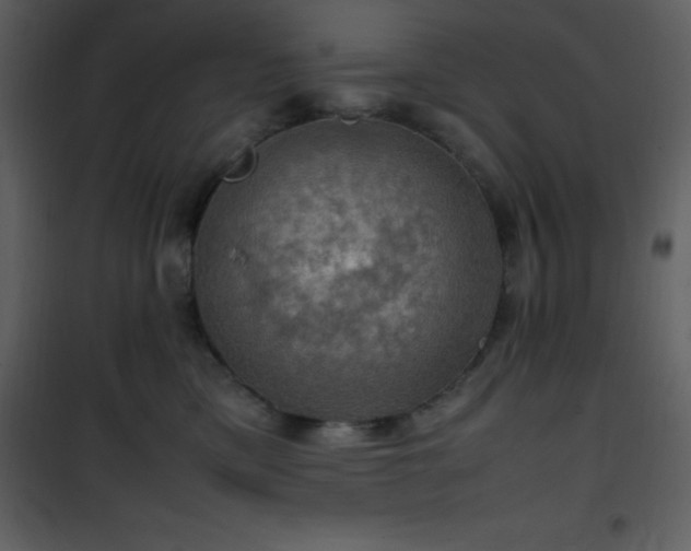 X0000102010425200807181232