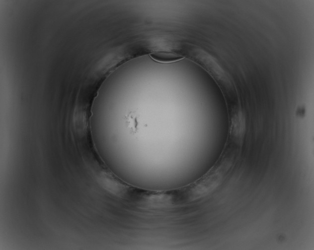 X0000102010426200807181232