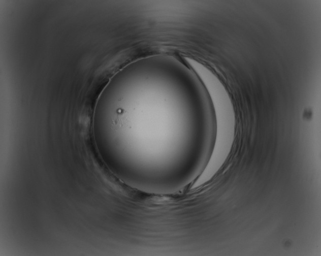 X0000102010427200807181232