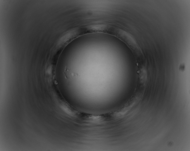 X0000102010428200807181232