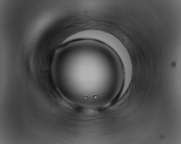 X0000102010429200807181232