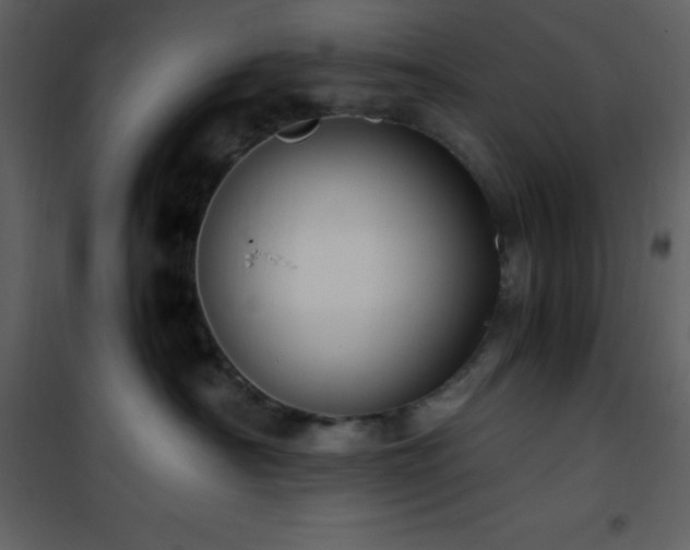 X0000102010430200807181232