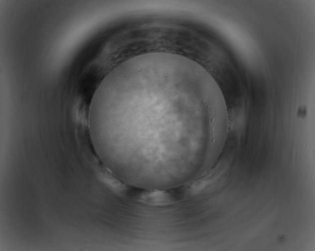 X0000102010431200807181232