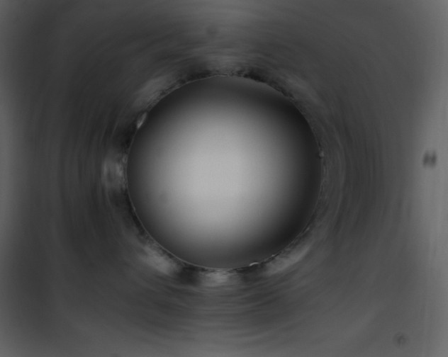 X0000102010432200807181232