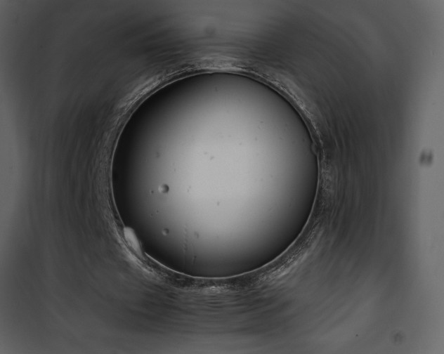 X0000102010433200807181232