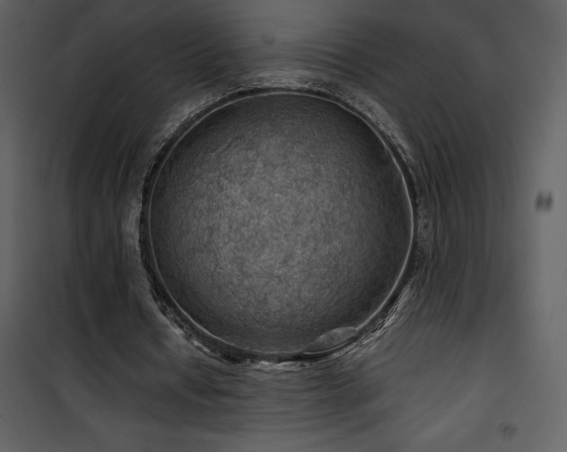X0000102010434200807181232
