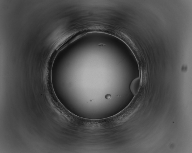 X0000102010435200807181232
