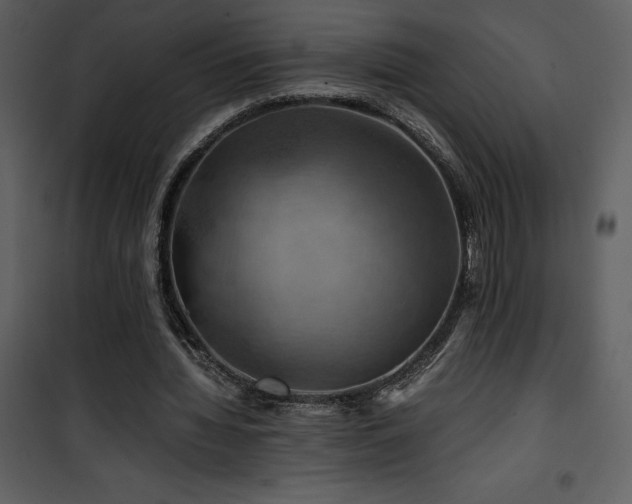 X0000102010436200807181232