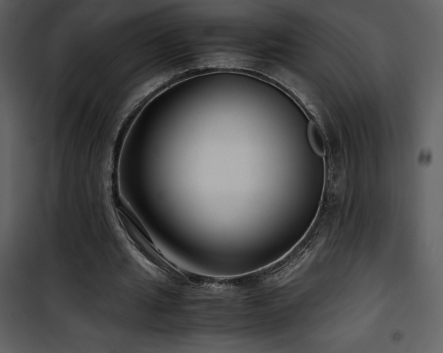 X0000102010437200807181232