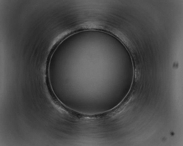 X0000102010438200807181232