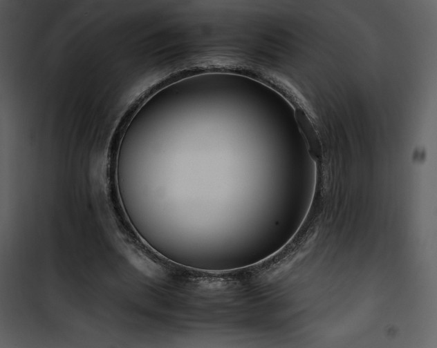 X0000102010439200807181232