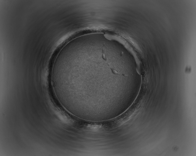 X0000102010440200807181232