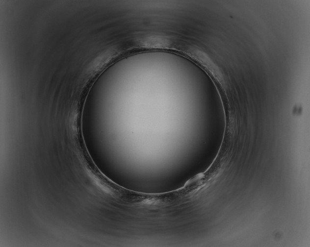 X0000102010441200807181232