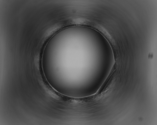 X0000102010442200807181232