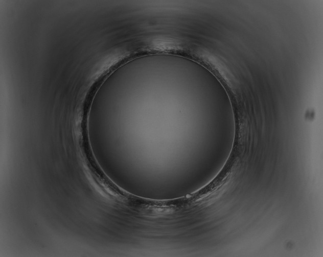 X0000102010443200807181232