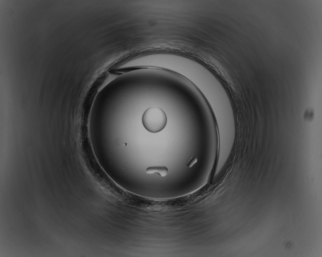 X0000102010444200807181232