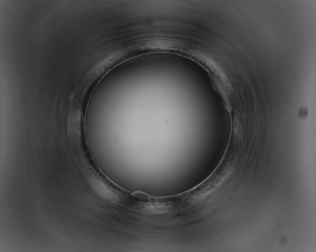 X0000102010445200807181232