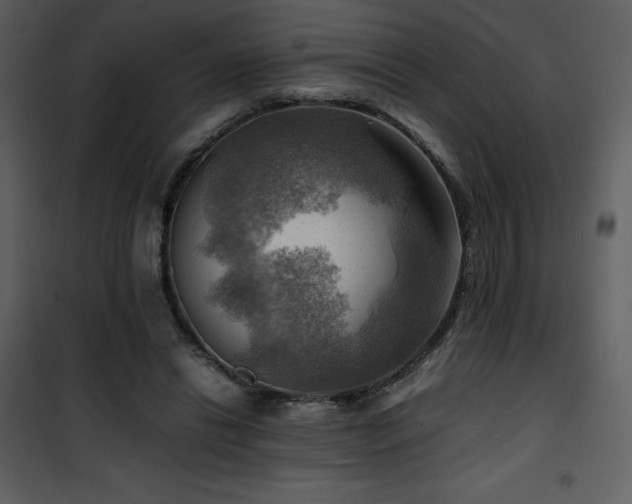 X0000102010446200807181232