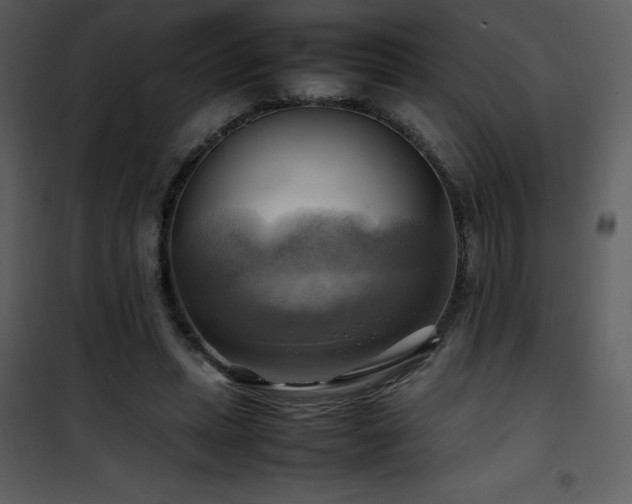 X0000102010447200807181232
