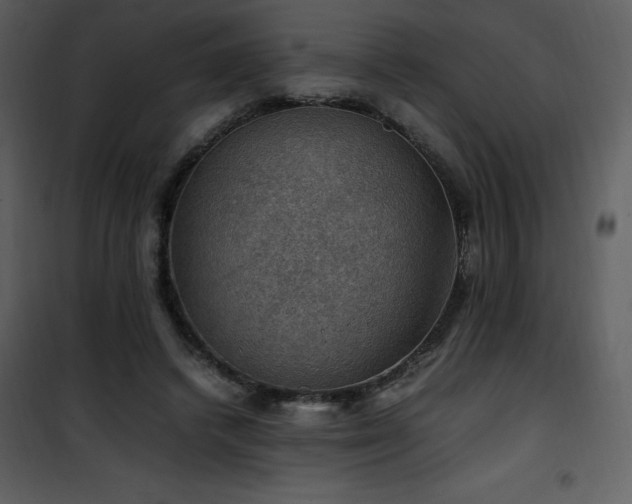 X0000102010448200807181232