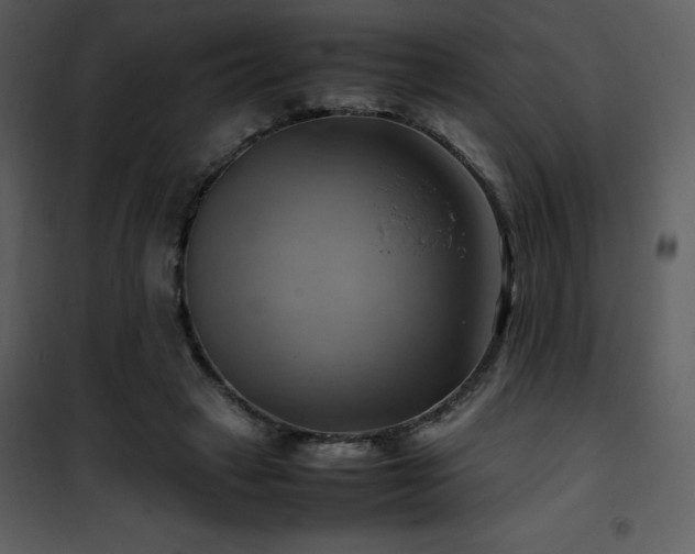 X0000102010449200807181232