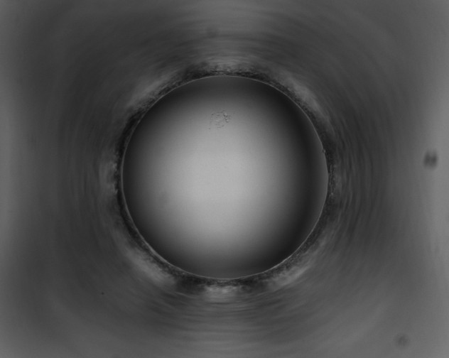 X0000102010450200807181232