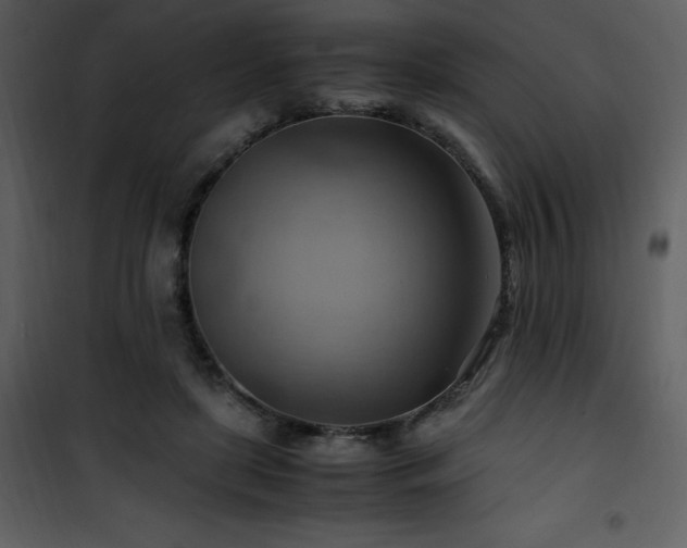 X0000102010451200807181232