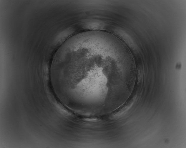 X0000102010453200807181232