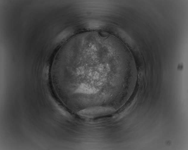 X0000102010454200807181232