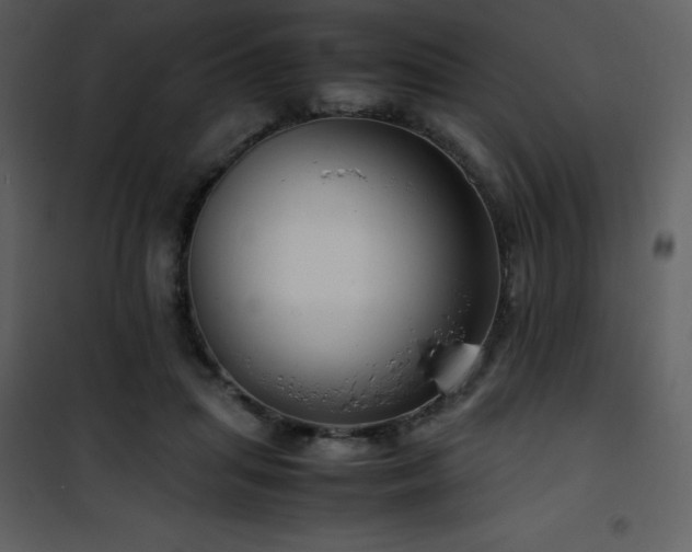 X0000102010455200807181232