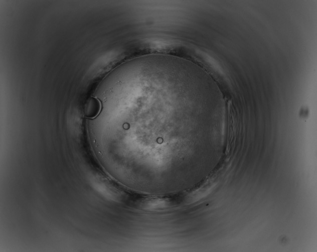 X0000102010456200807181232