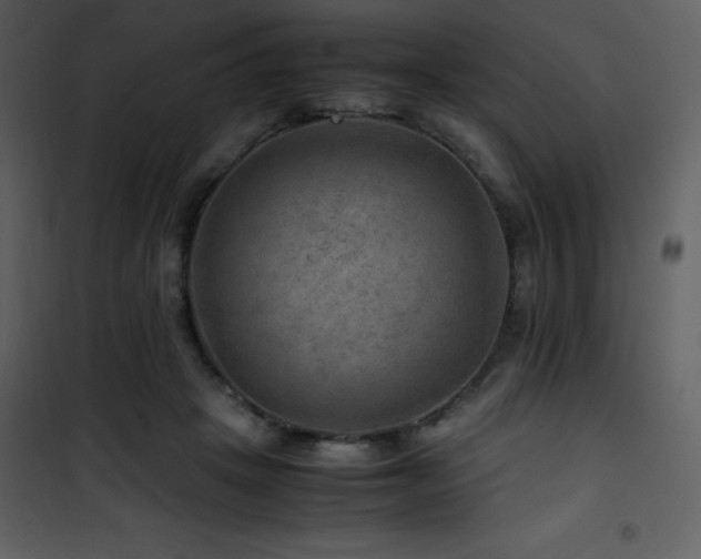 X0000102010457200807181232