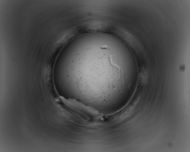 X0000102010458200807181232