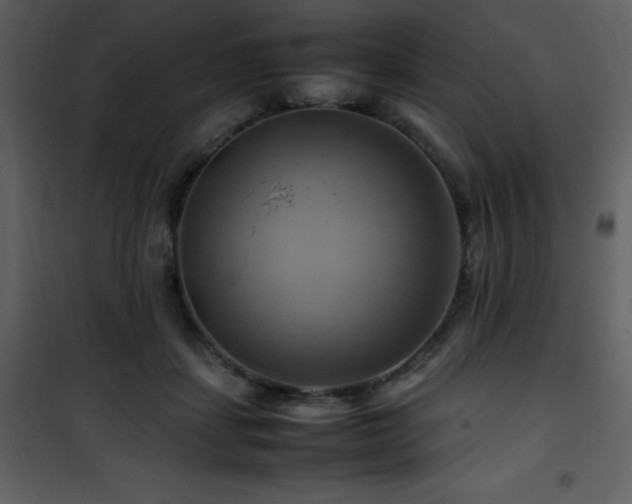 X0000102010459200807181232