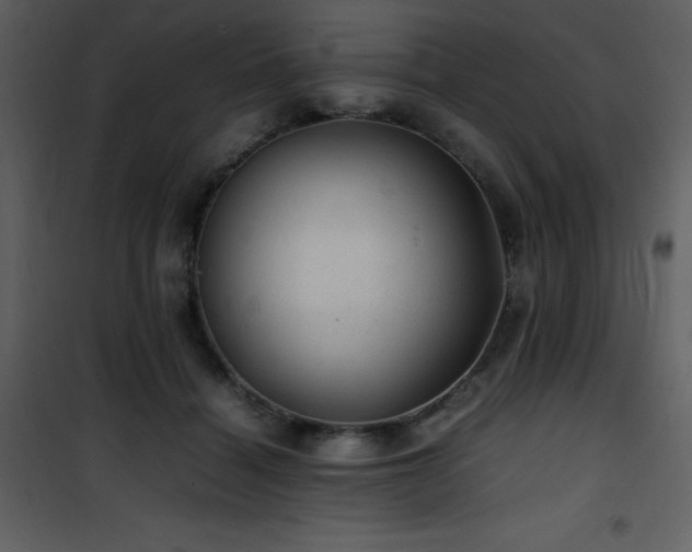 X0000102010460200807181232