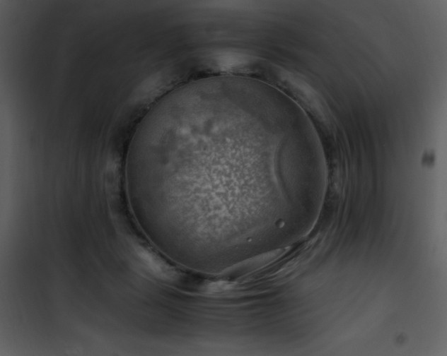 X0000102010461200807181232