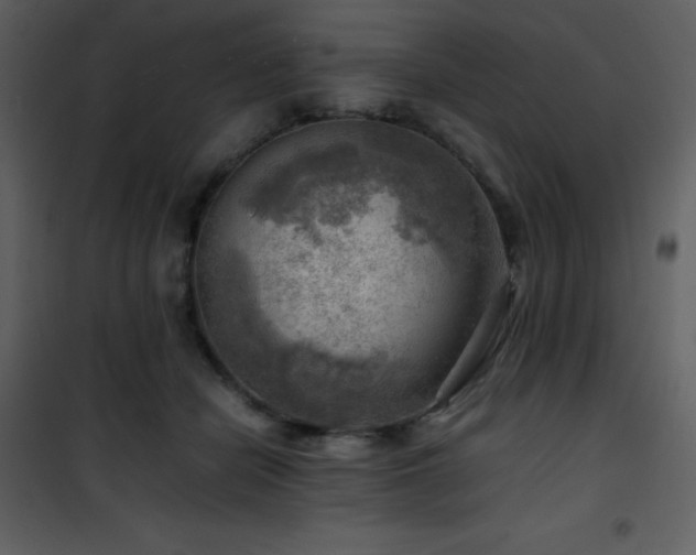 X0000102010462200807181232