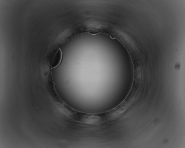 X0000102010463200807181232
