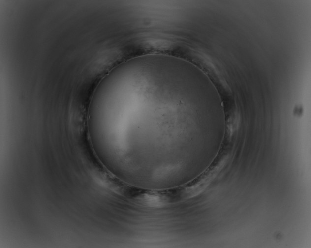 X0000102010464200807181232